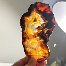 Load image into Gallery viewer, Top Quality Brazilian Agate Slice – Natural Banding & Druzy Center