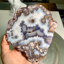 Load image into Gallery viewer, Top quality - blue flower agate slab/slice
