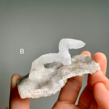 Load image into Gallery viewer, Rare - art shape crystalline crystal cluster