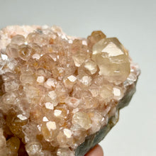 Load image into Gallery viewer, Pink Botryoidal Calcite Cluster with Honey Calcite Point