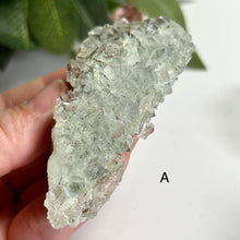 Load image into Gallery viewer, Glass Fluorite Crystal Cluster– Green Cubic Fluorite with Pyrolusite on Matrix