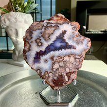 Load image into Gallery viewer, High quality - blue flower agate slab/ blue flower agate slice