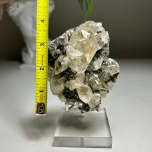 Load image into Gallery viewer, Rare - Top Quality Yellow Calcite on Matrix with Pyrite – Anhui, China