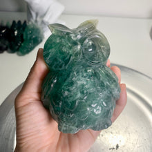Load image into Gallery viewer, High quality - large size fluorite owl
