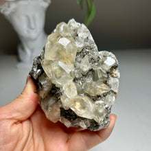 Load image into Gallery viewer, Rare - Top Quality Yellow Calcite on Matrix with Pyrite – Anhui, China