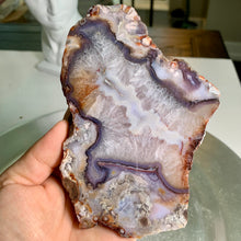 Load image into Gallery viewer, Top quality - blue flower agate slab/slice