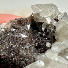 Load image into Gallery viewer, Dogtooth Calcite Cluster with Anatase Inclusions on Black Matrix | Natural Crystal Specimen from China