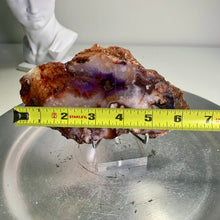 Load image into Gallery viewer, High quality- blue flower agate slab / slice ( natural color )