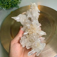Load image into Gallery viewer, Rare - high quality lemurian quartz cluster
