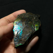 Load image into Gallery viewer, Natural Green & Blue Fire Ammolite Fossil from Canada — Large Iridescent Ammonite Shell Slice
