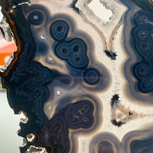 Load image into Gallery viewer, Rare - Black banding agate slab with druzy / agate slice with druzy