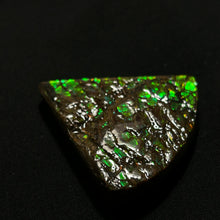 Load image into Gallery viewer, Premium Green Fire Ammolite Fossil from Canada — Dragon-Scale Iridescence | Vibrant Ammolite Slice