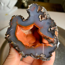 Load image into Gallery viewer, Rare - high quality Argentina red fox agate geode with UV reaction
