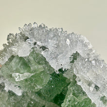 Load image into Gallery viewer, Large Green Nipple Fluorite with Clear Crystal Growth Rare Raw Fluorite Cluster Frosted Edge Mineral Specimen
