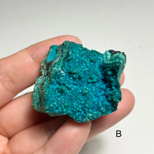 Load image into Gallery viewer, Natural Chrysocolla on Matrix from Peru | Blue Green Copper Mineral Specimens | Select A or B