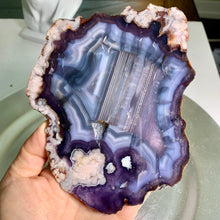 Load image into Gallery viewer, Top quality - blue flower agate slab / slice with nice bending