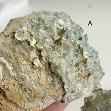 Load image into Gallery viewer, Glassy Moss Fluorite on Matrix | Natural Green Fluorite Crystal | Mineral Specimen | Home Decor | A or B