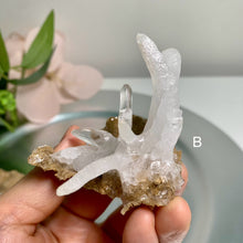 Load image into Gallery viewer, Rare - art shape crystalline crystal cluster