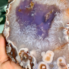 Load image into Gallery viewer, High quality - blue agate flower slab / slice