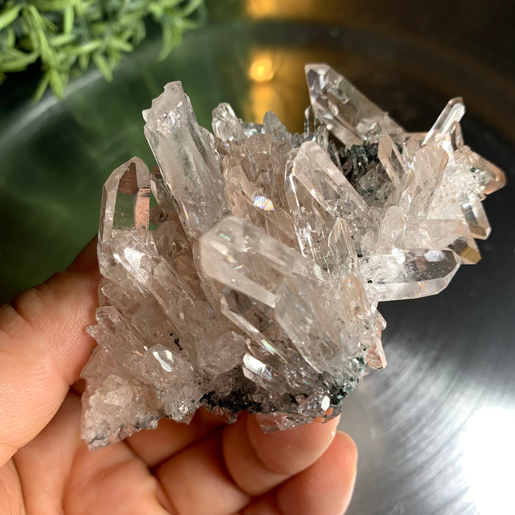 New found - green chlorite pink lemurian quartz cluster : Columbia quartz 17