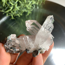 Load image into Gallery viewer, New found - green chlorite lemurian quartz cluster 20
