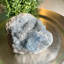 Load image into Gallery viewer, High quality gemmy blue celestite cluster / celestite geode