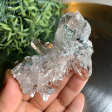 Load image into Gallery viewer, New found - green chlorite pink lemurian quartz cluster 16