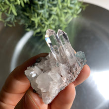 Load image into Gallery viewer, New found - green chlorite lemurian quartz cluster 23