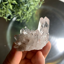 Load image into Gallery viewer, Top quality lemurian quartz cluster 08