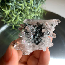 Load image into Gallery viewer, New found - green chlorite lemurian quartz cluster / Columbia quartz 19