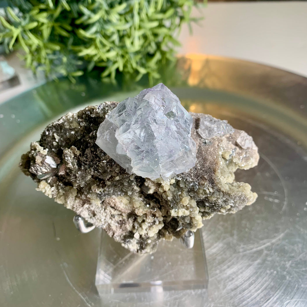 Yaogangxian fluorite with arsenopyrite matrix and / Yaogangxian Mine 02