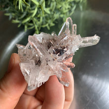 Load image into Gallery viewer, New found - green chlorite pink lemurian quartz cluster 22