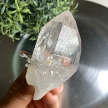 Load image into Gallery viewer, New found - green chlorite lemurian quartz point / Columbia quartz 03