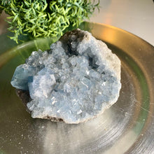 Load image into Gallery viewer, High quality gemmy blue celestite cluster / celestite geode
