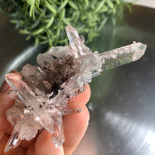 Load image into Gallery viewer, New found - green chlorite pink lemurian quartz cluster 22