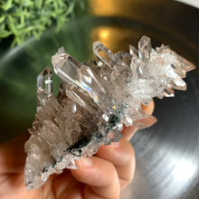 Load image into Gallery viewer, New found - green chlorite pink lemurian quartz cluster : Columbia quartz 17