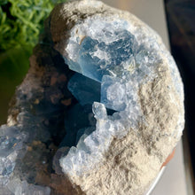 Load image into Gallery viewer, Top quality blue celestite geode celestite cluster