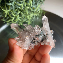 Load image into Gallery viewer, New found - green chlorite lemurian quartz cluster / Columbia quartz 19
