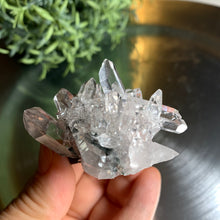 Load image into Gallery viewer, New found - green chlorite lemurian quartz cluster 15