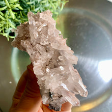 Load image into Gallery viewer, Pink lemurian quartz cluster 06