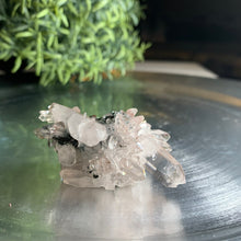 Load image into Gallery viewer, New found - green chlorite lemurian quartz cluster / Columbia quartz 19