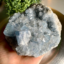 Load image into Gallery viewer, High quality gemmy blue celestite cluster / celestite geode