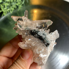 Load image into Gallery viewer, New found - green chlorite pink lemurian quartz cluster : Columbia quartz 17
