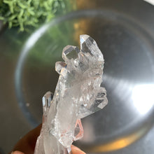 Load image into Gallery viewer, Top quality lemurian faden quartz 10