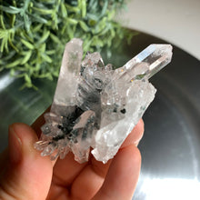 Load image into Gallery viewer, New found - green chlorite lemurian quartz cluster / Columbia quartz 19