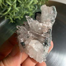 Load image into Gallery viewer, New found - green chlorite pink lemurian quartz 21