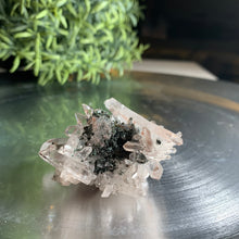 Load image into Gallery viewer, New found - green chlorite lemurian quartz cluster / Columbia quartz 19
