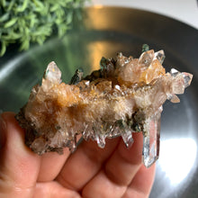 Load image into Gallery viewer, New found - green chlorite lemurian quartz cluster 18