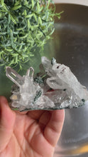 Load and play video in Gallery viewer, New found - green chlorite lemurian quartz/cluster 13