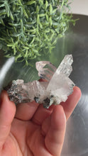 Load and play video in Gallery viewer, New found - green chlorite lemurian quartz cluster 20